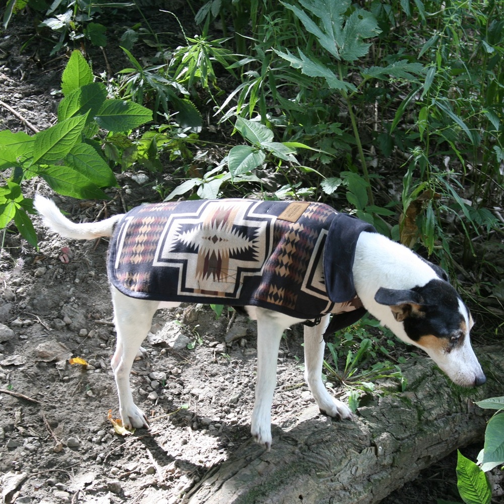 Pendleton Acadia Pet Coat by Anthropologie-COLOR:
Harding